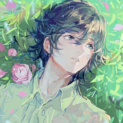 枫树价格三年跌超70%